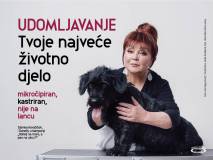 2021 Udomljavanje Tvoje Najvece Zivotno Djelo2